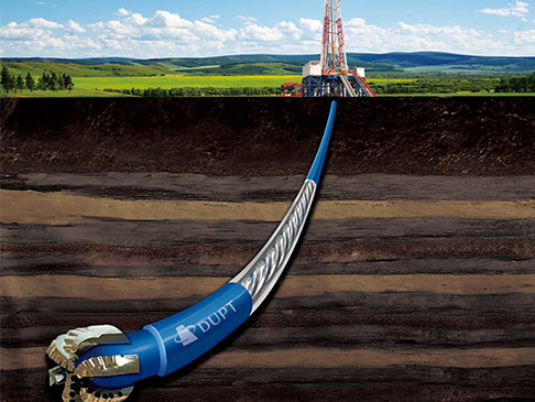 RSS Downhole Motor